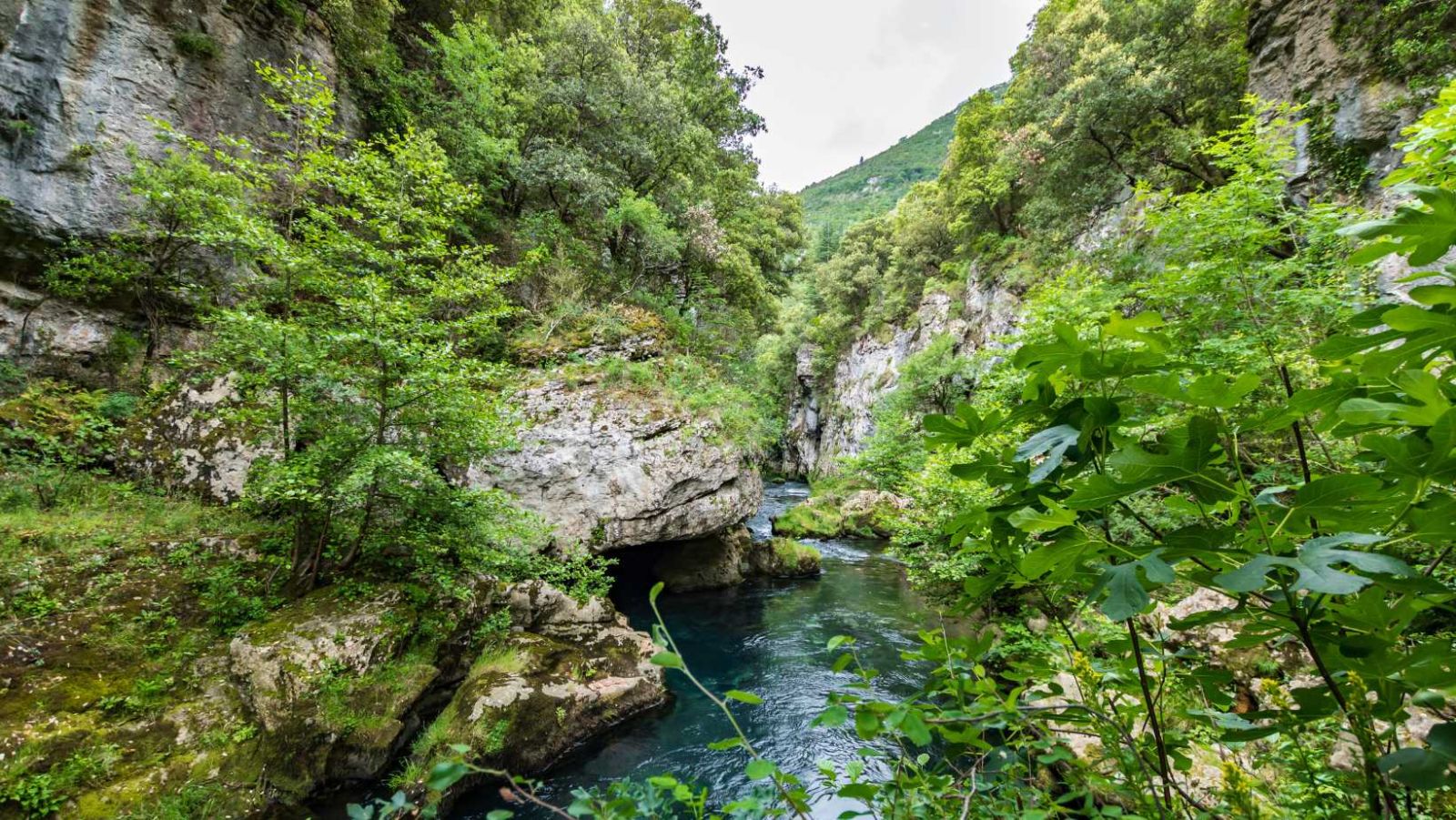 50 km de canyons et 14°C toute l'année : l'Hérault, paradis des spéléologues amateurs