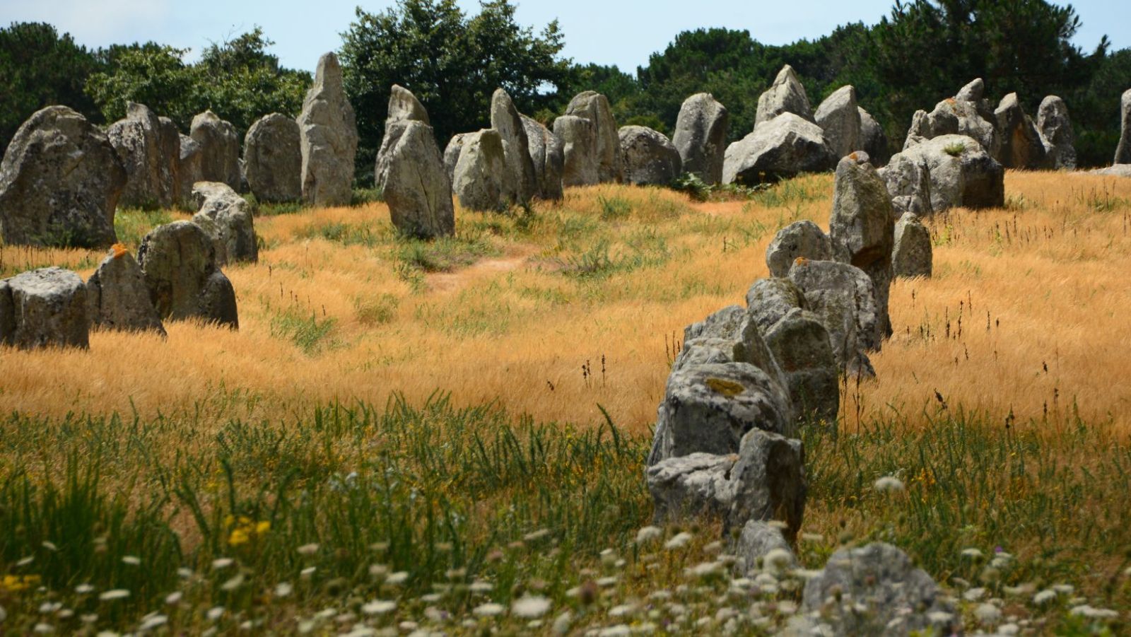 Mont Lozère à 1 699 m : 17 km de randonnée et 150 menhirs à découvrir