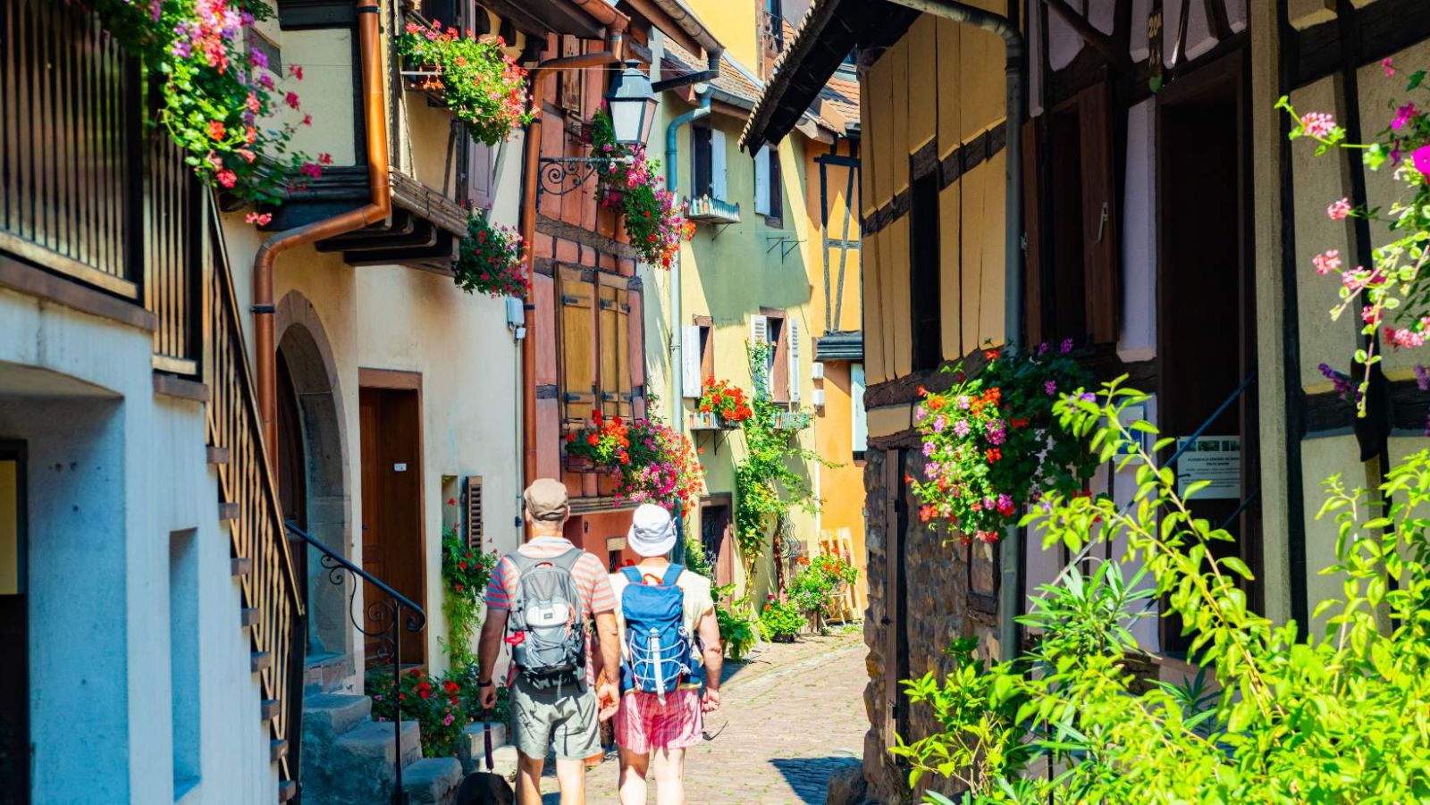 Eguisheim : 1800 habitants, 3 châteaux et 1000 ans d'histoire viticole à découvrir