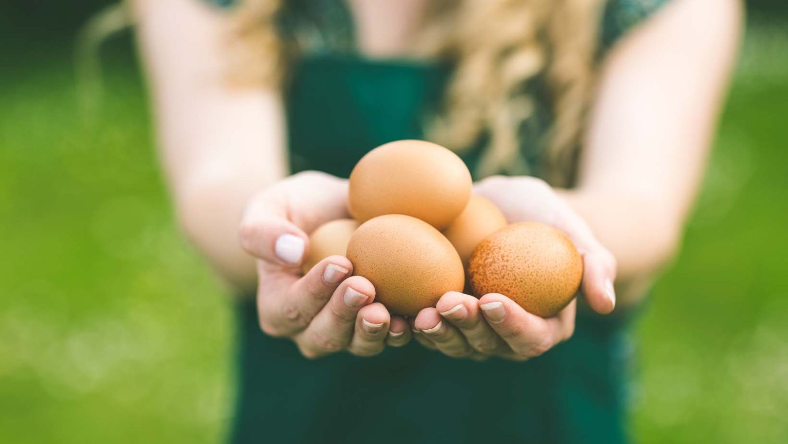 Envie de manger des œufs tous les jours ? Découvrez si c'est une bonne idée
