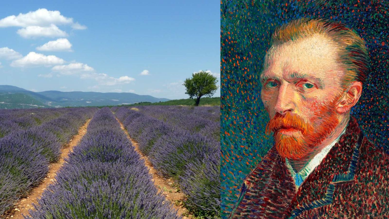 Ce village provençal a inspiré plus de 200 œuvres de Van Gogh