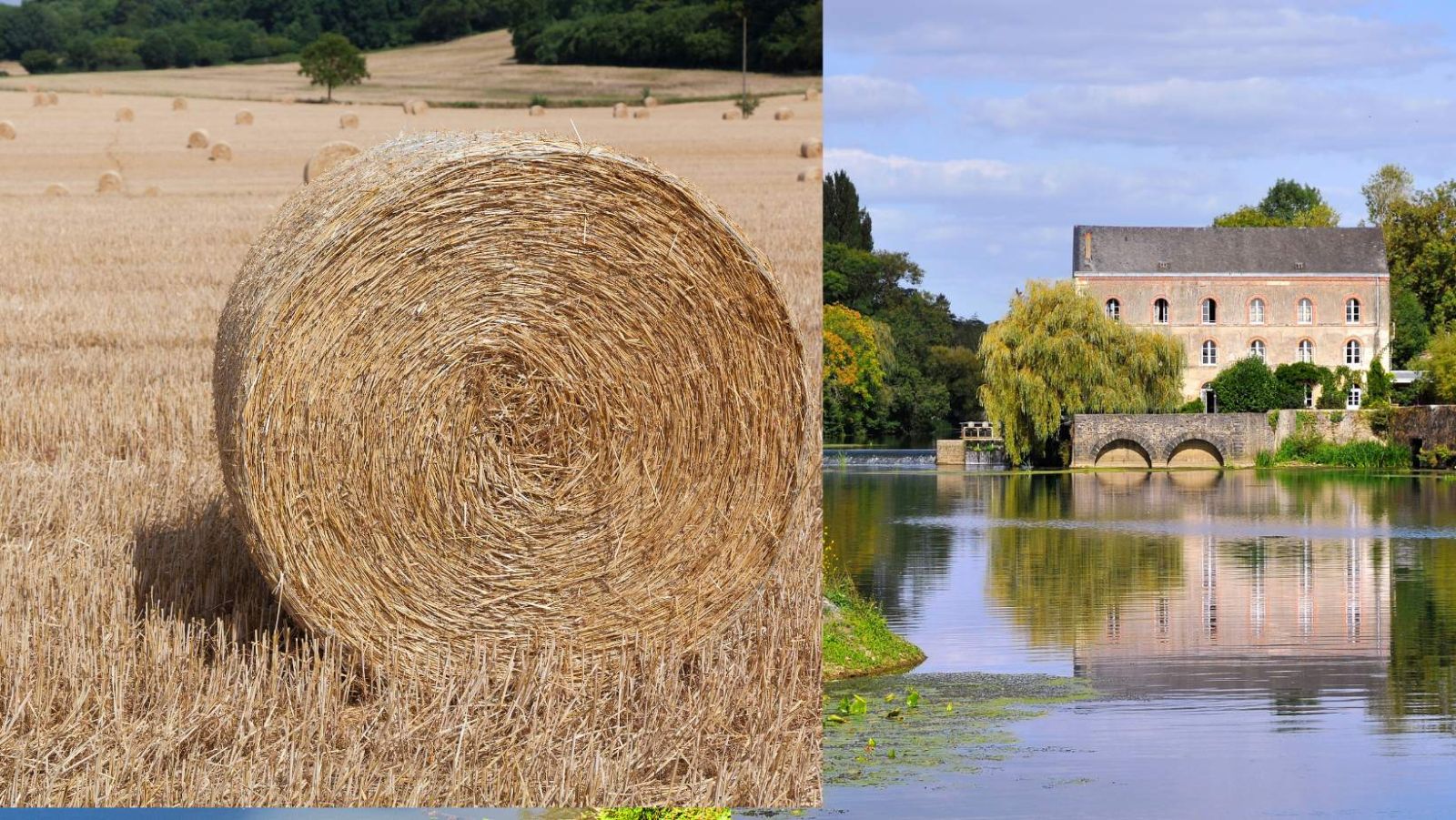 Ce village de la Sarthe va vous faire craquer avec son étang de rêve et sa guinguette
