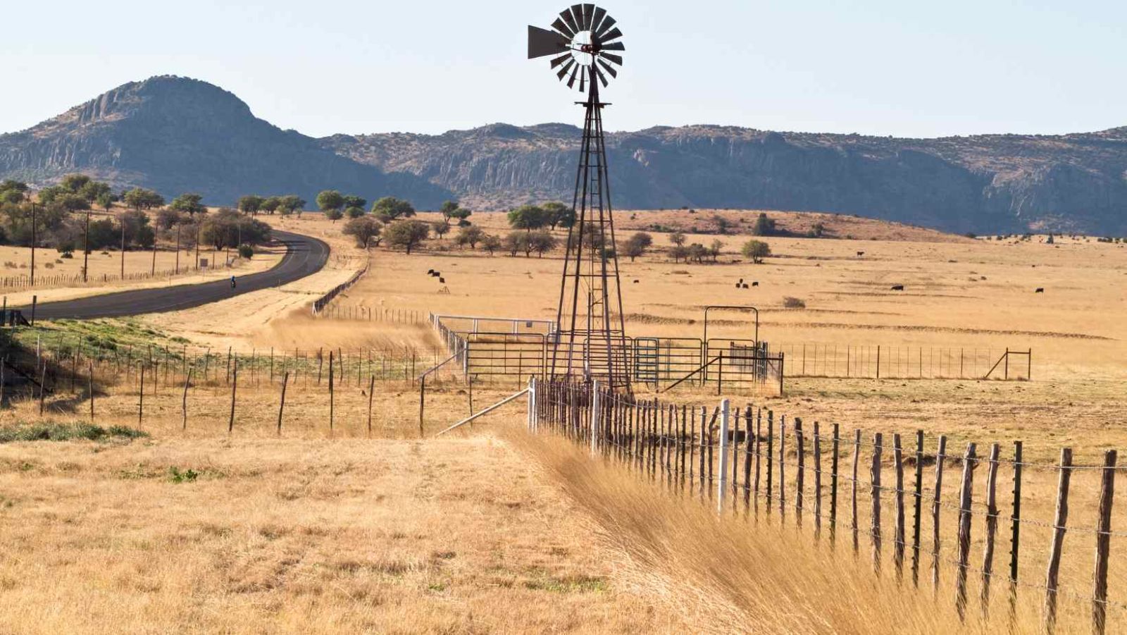 Quel territoire français vous fait voyager au Texas sans quitter l'Hexagone ?