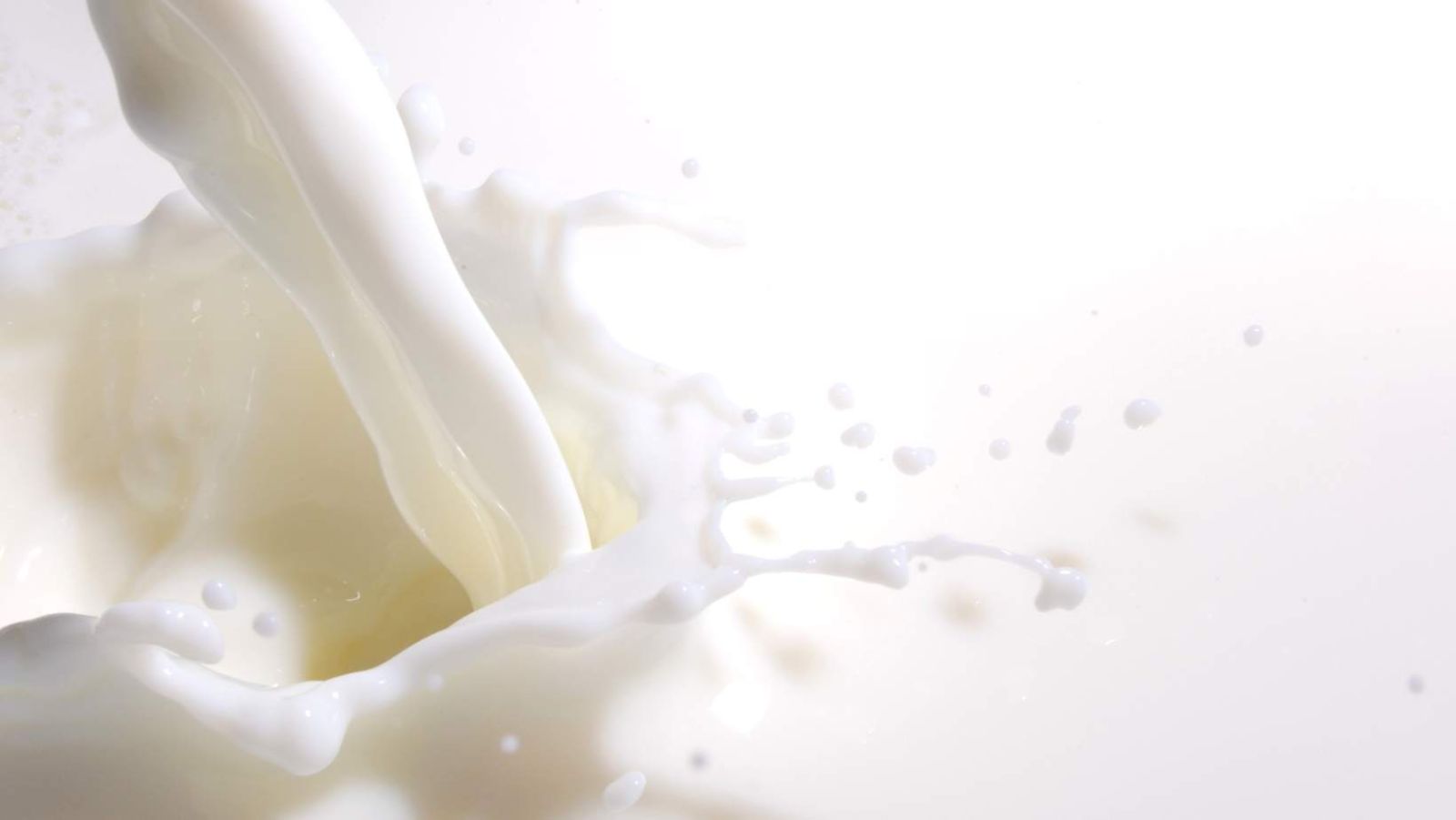 Gluten, produits laitiers : les vrais dangers pour notre santé