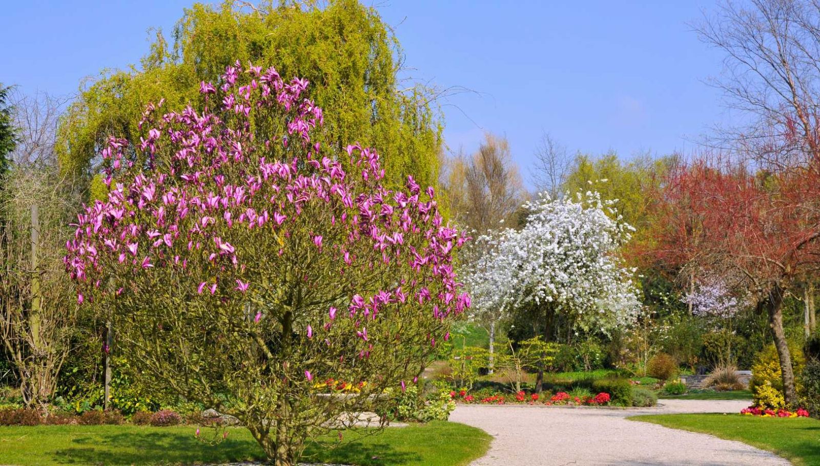 Normandie : une route de 100 jardins exceptionnels à découvrir absolument