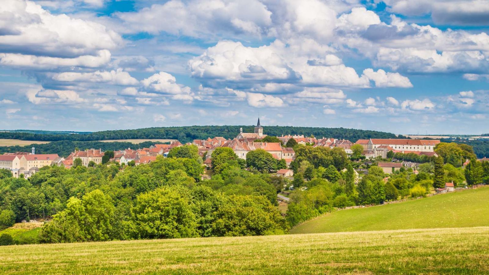 Ce village de 400 habitants produit 200 tonnes d'Anis de Flavigny par an depuis 1591