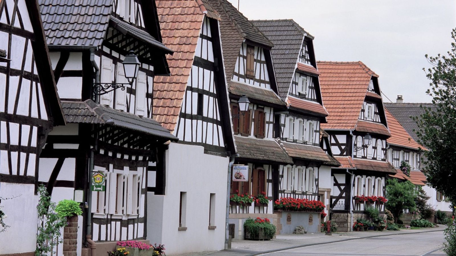 À seulement 60 km de Strasbourg, ce village de 650 âmes abrite plus de 200 nids de cigognes