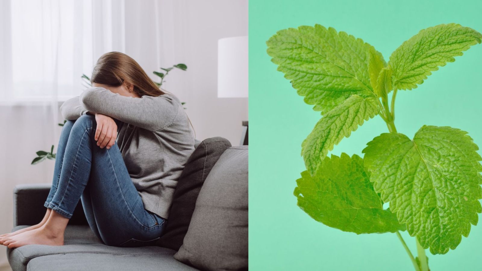 5 super-plantes qui rivalisent avec les médicaments contre l'anxiété