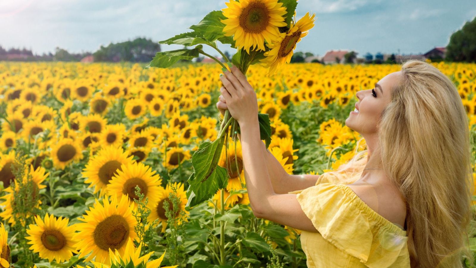 7 raisons pour lesquelles vous devriez arrêter de consommer des graines de tournesol