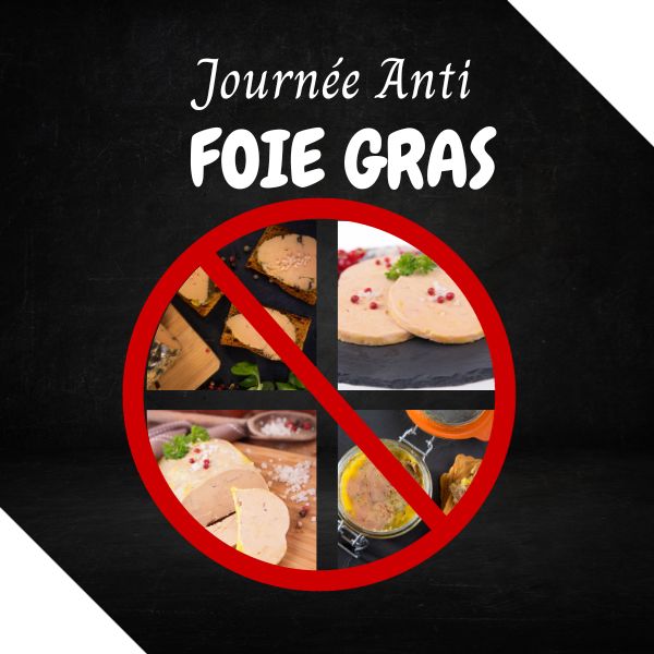 Foie Gras Sans Gavage : Un Délice Éthique
